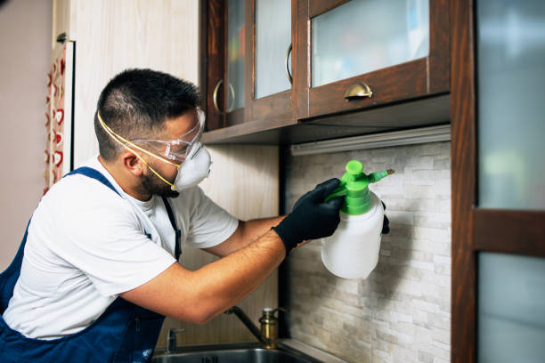 Best Termite Control Services  in Campti, LA
