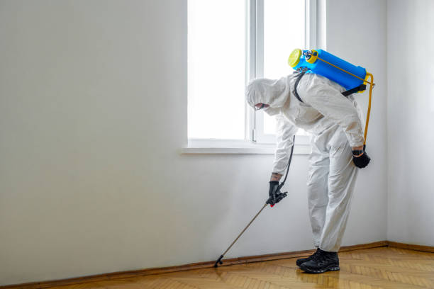 Best Cockroach Control Services  in Campti, LA