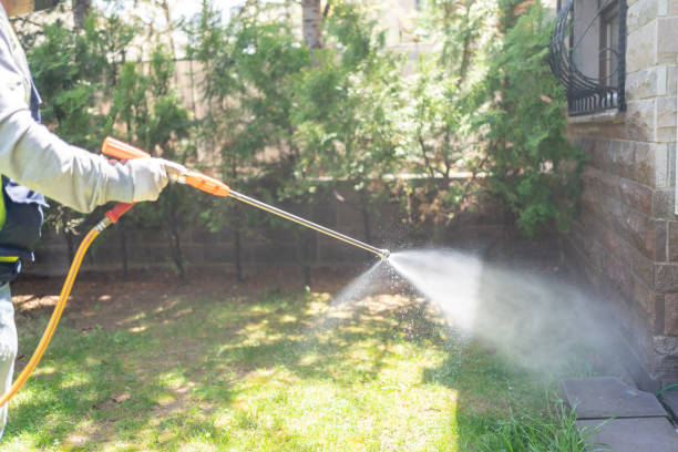 Bird Control in Campti, LA