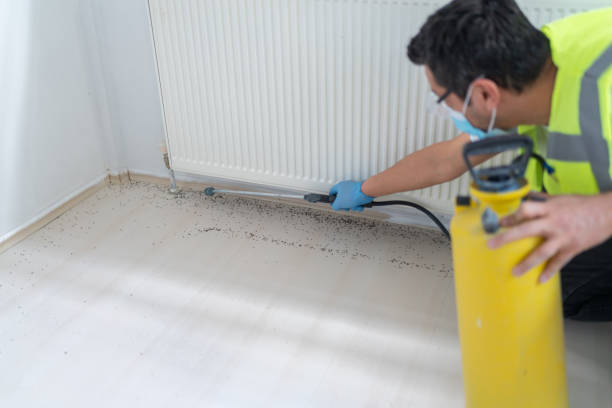 Best Emergency Pest Control  in Campti, LA