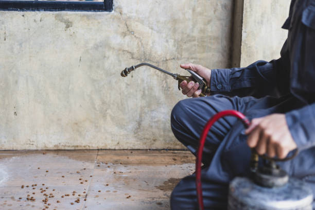 Best Mosquito Control Services  in Campti, LA